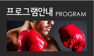 프로그램 안내 