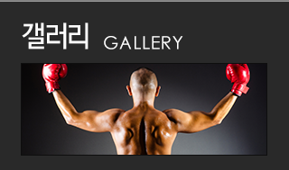 갤러리  