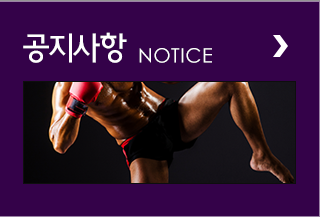 공지사항   